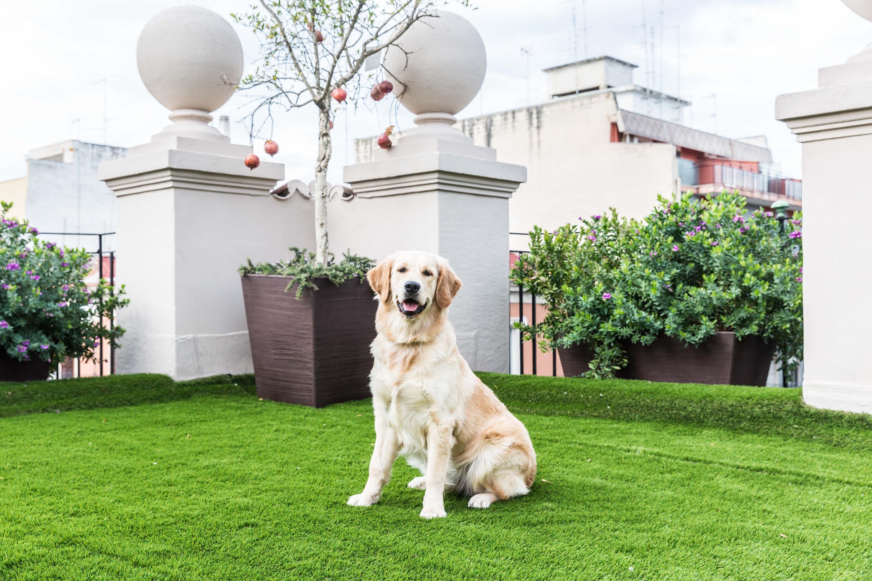 200 Rooms & Terrace Bari Ngoại thất bức ảnh
